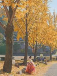 너무 아름다웠던 올 가을 제천 배론성지🍁🤎