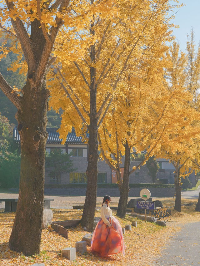 너무 아름다웠던 올 가을 제천 배론성지🍁🤎