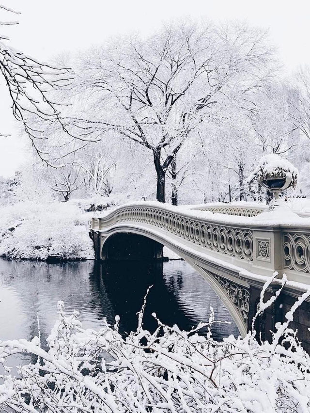 Snow wonderland in NYC