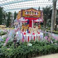 Explore the beauty of Flowers Dome of Singapore Garden by the bay