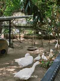 หมู่บ้านช้างพัทยา กิจกรรมแน่น ถูกใจทุกวัยแน่นอน🐘