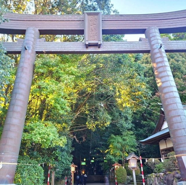 高千穗神社 在百年大樹下祈福的能量景點