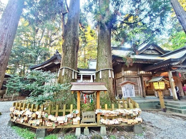 高千穗神社 在百年大樹下祈福的能量景點