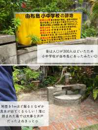 【由布島】西表島から水牛車に乗って行く！コンパクトな島を散策しよう