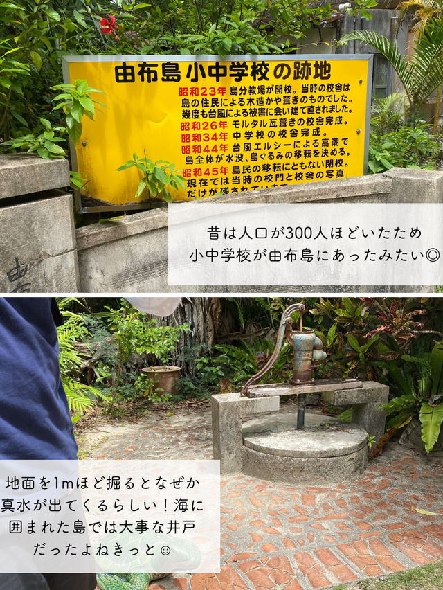 【由布島】西表島から水牛車に乗って行く！コンパクトな島を散策しよう