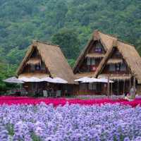 Hokkaido Flower Park Khaoyai 