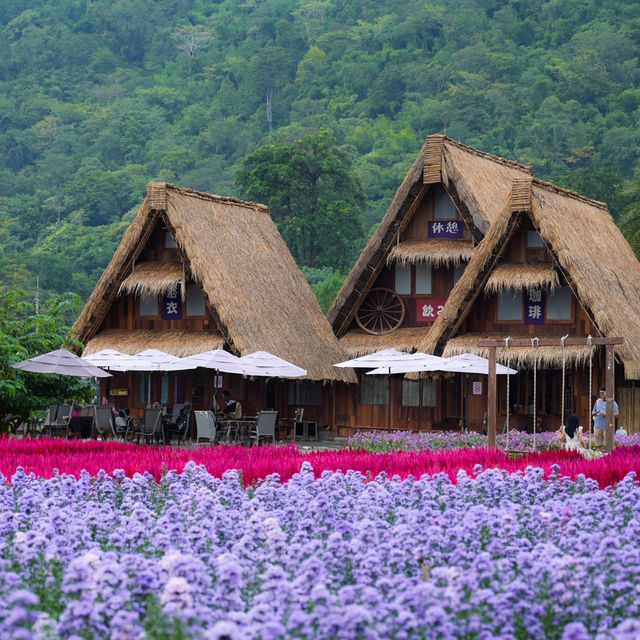 Hokkaido Flower Park Khaoyai 