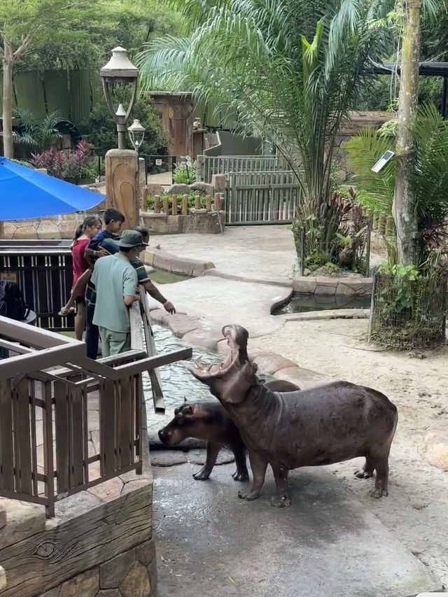 Lost World of Tambun: Adventure Awaits in Ipoh