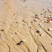 Alum Chine Beach