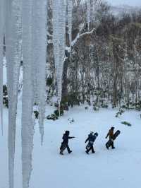 Niseko Skiing: A Powder Paradise in Hokkaido 