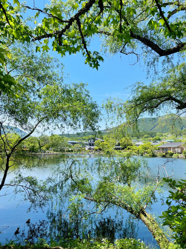 🇯🇵유후인 여행 필수명소 고즈넉한 긴린호수 산책하기🍀🍀