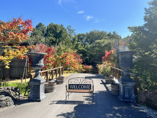 【軽井沢】旅行客にも人気のフラワーフィールド💐