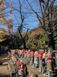 【東京】初詣にもおすすめ🤍勝ちたい時に行きたい!!徳川家康のパワーを貰おう