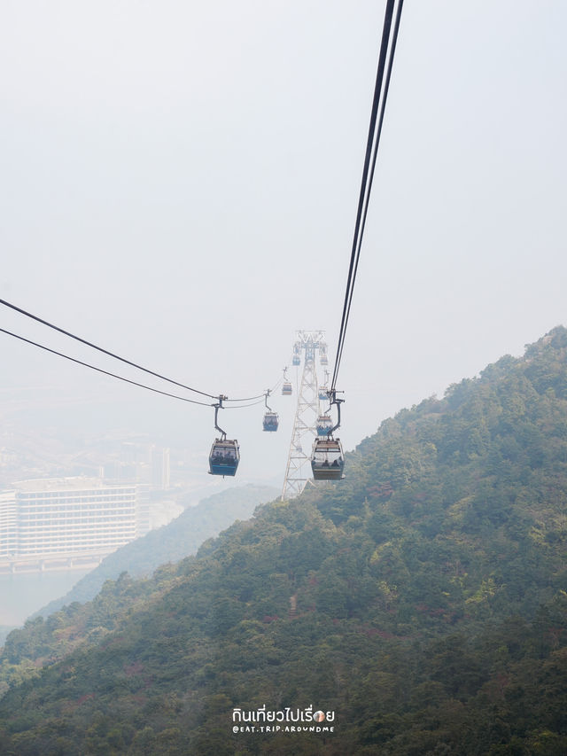 🚡 ดูวิวเกาะฮ่องกงบนกระเช้านองปิง