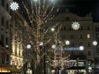 Ring in the New Year in Elegant Vienna