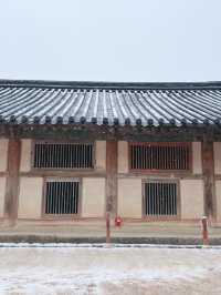 경남 합천 여행 눈오는 겨울 해인사 