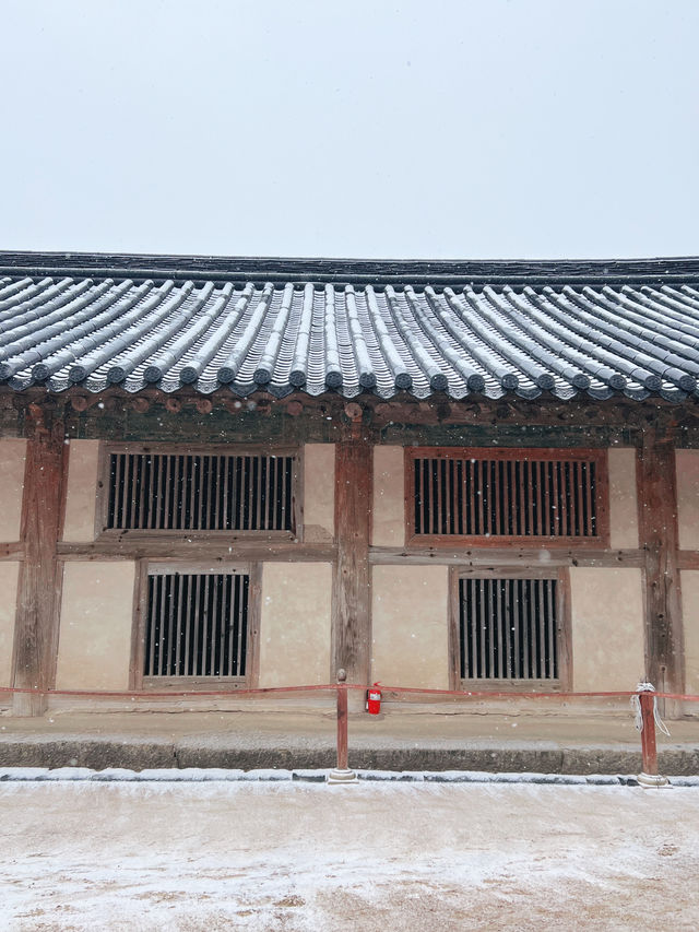 경남 합천 여행 눈오는 겨울 해인사 
