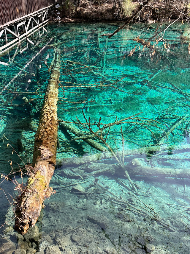 Jiuzhaigou: Nature’s Masterpiece 