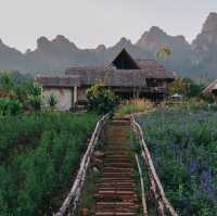 ที่พักกลางทุ่งดอกไม้...วิวปังแห่งเชียงดาว 