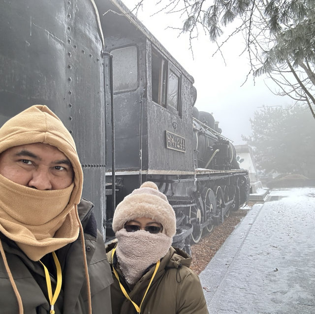 DMZ - A 71 years of reunification dream