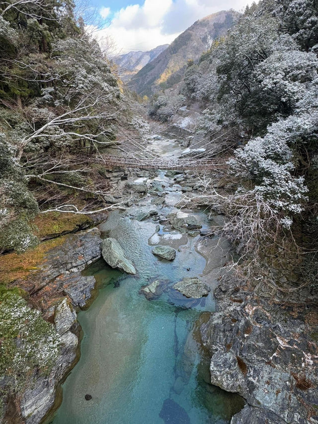 四國遊之祖谷吊橋🙆🏻‍♀️必訪美景🥰刺激體驗