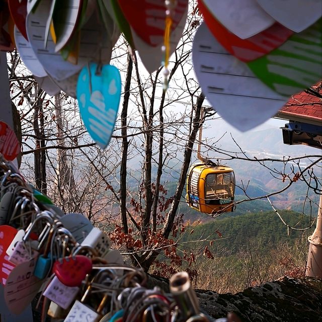 韓國大邱_ 必訪 팔공산 케이블카八公山纜車_享受楓紅黃杏 山巒間