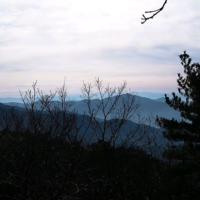 韓國大邱_ 必訪 팔공산 케이블카八公山纜車_享受楓紅黃杏 山巒間