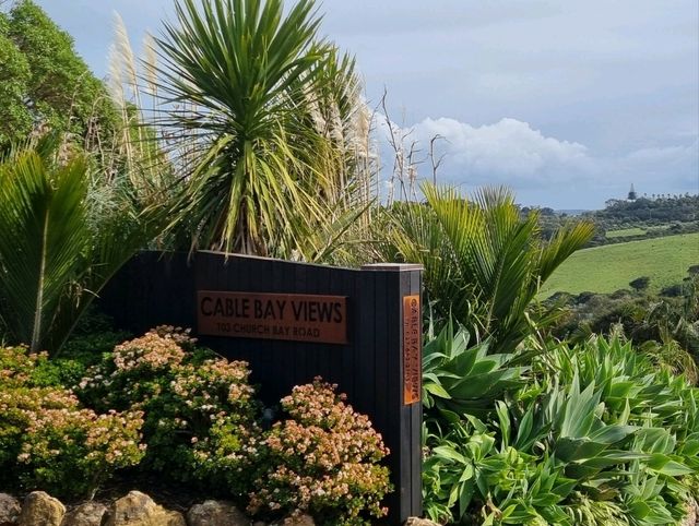 와이헤케 와이너리 투어 - Cable Bay vineyards🇳🇿