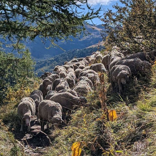 Ecrins National Park