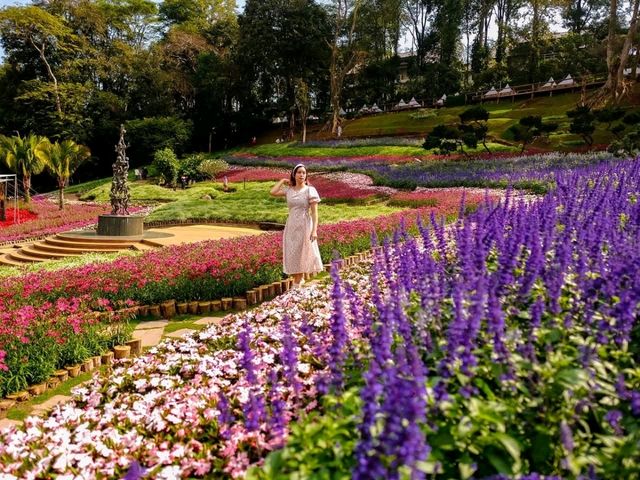 สวนแม่ฟ้าหลวงโฉมใหม่ที่ดอยตุง