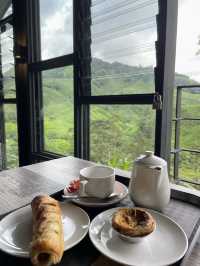One of the famous and scenic tea plantations in Malaysia 