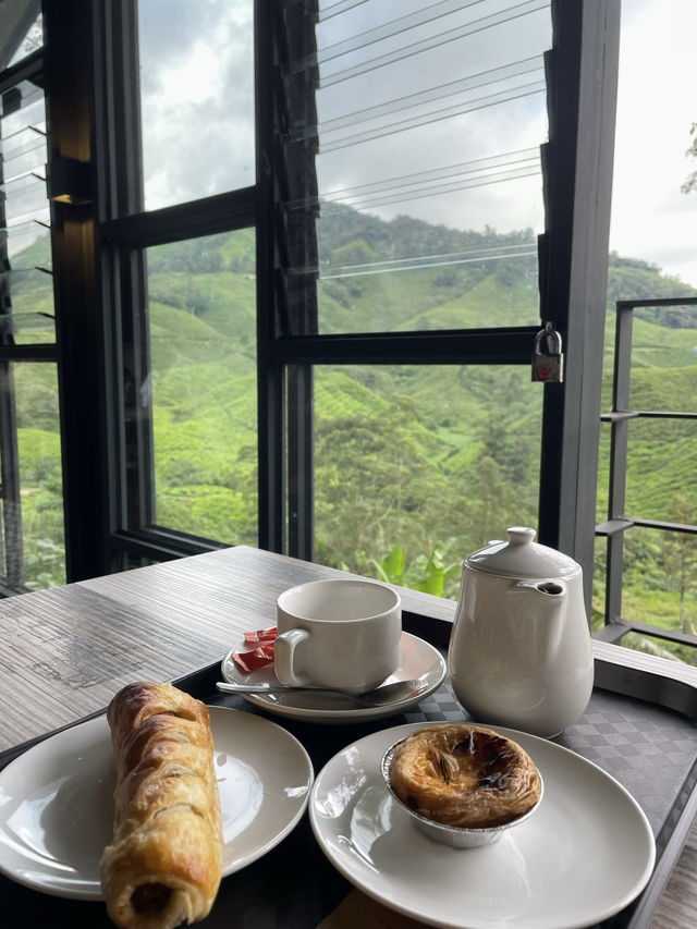 One of the famous and scenic tea plantations in Malaysia 