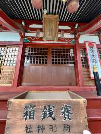 【群馬】御朱印と花手水が綺麗な神社