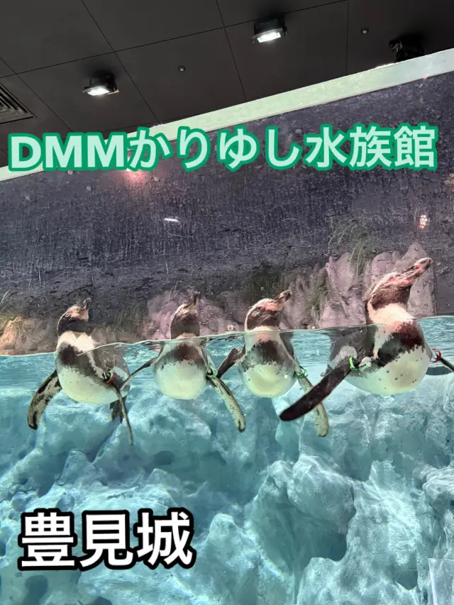 新感覺的水族館 DMM Kariyushi 水族館 【豐見城】