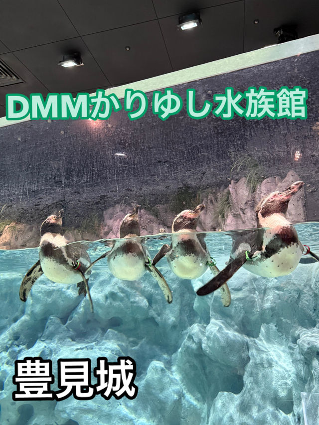 新感覚の水族館 DMMかりゆし水族館 【豊見城】