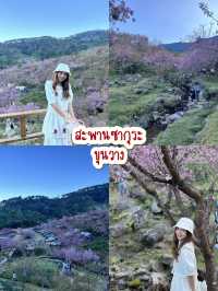 One day trip “ดอยอินทนนท์”✨