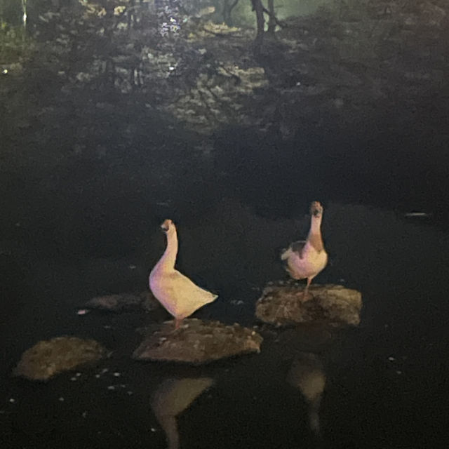 잔잔한 호수에서 잠시 여유를:)