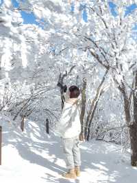 눈덮인 겨울 발왕산의 아름다운 설경❄️🤍