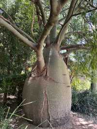 Kings Park