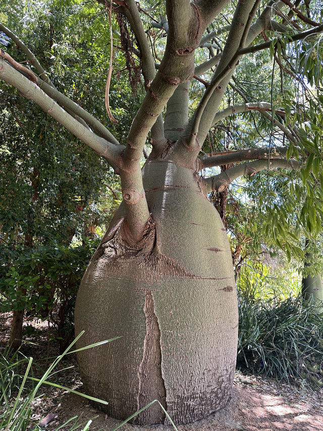 Kings Park