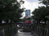 Nakameguro: Tokyo’s Riverside Gem of Culture and Charm