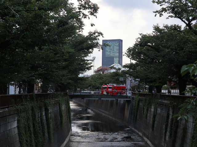 Nakameguro: Tokyo’s Riverside Gem of Culture and Charm