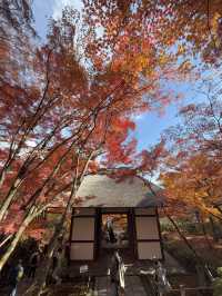 京都｜盡顯禪意之美-常寂光寺 風水布局與神佛傳說