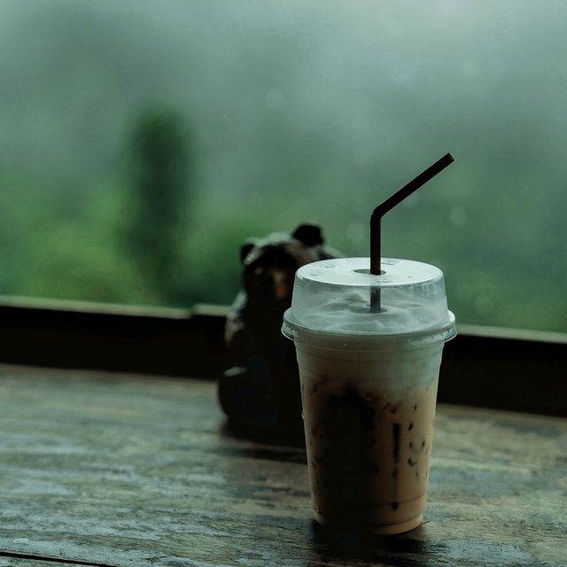 ดอยผาหมี แม่สาย เชียงราย 