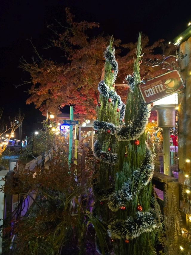 사랑이 샘솟는 크리스마스 카페🎄