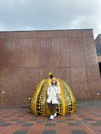 福岡美術館感受藝術與自然的瞬間
