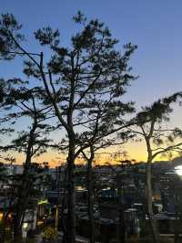 สวนนักซาน (Naksan Park) 🌿
