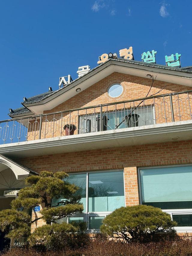 든든하고 정겨운 분위기에 시골우렁쌈밥 🥄 야외 데이트 장소로 어때요?