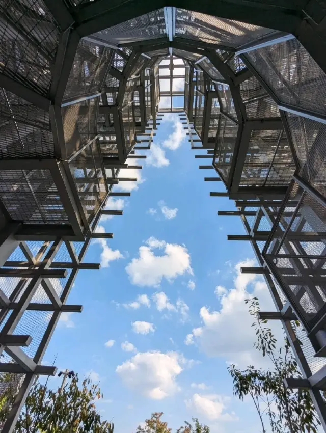 Bird Watch Tower 曼谷詩麗吉王后公園裡的超現代建築