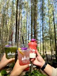 Phupha Coffee Camp ภูผา คอฟฟี่ แค้มป์🏕️